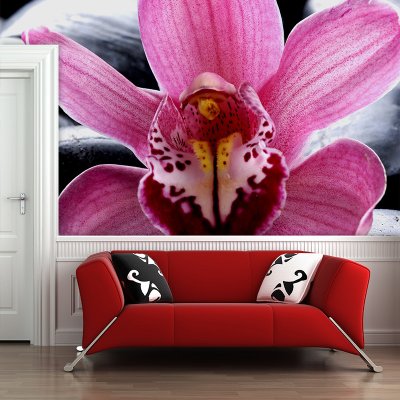Tapeta SABLIO Růžová orchidea 208x125 cm