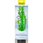 Tetra Hygrophila L 30 cm – Sleviste.cz
