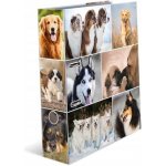 Herma Pořadač pákový 7cm A4 Psi – Zboží Mobilmania