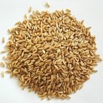 Apetit oves nahý 0,8 kg – Zboží Dáma