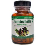 Herbal Hills Jambuhills normální hladina glukózy v krvi 60 kapslí – Hledejceny.cz