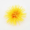 Květina Chryzantéma jehlicovitá žlutá 48 cm, balení 12 ks