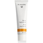 Dr. Hauschka Růžový krém 30 ml – Hledejceny.cz