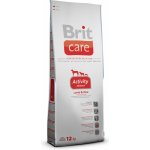 Brit Care Adult Activity All Breed Lamb & Rice 1 kg – Sleviste.cz