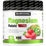 Survival Magnesium Malate 300 g jahoda-kiwi – Hledejceny.cz