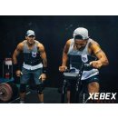 XEBEX Air Bike Smart Connect