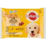 Pedigree Junior kuřecí 4 x 100 g – Hledejceny.cz