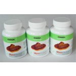 MycoMedica Chaga Čaga VEGAN 3 x 90 kapslí – Hledejceny.cz