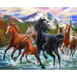 Norimpex Diamantové malování Koně ve vodě 30 x 40 cm – Zbozi.Blesk.cz