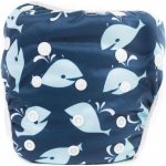 Bobánek Rostoucí plavky pro miminka Modré – Zboží Mobilmania