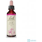 Bachovy květové esence Jilm Elm 20 ml – Hledejceny.cz