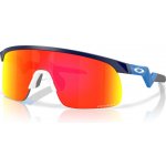Oakley Resistor – Hledejceny.cz