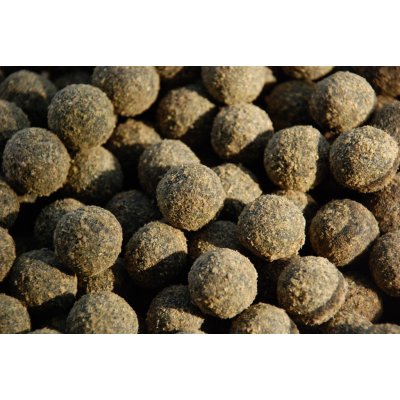 LK Baits Boilies Fish Activ 250ml 20mm Nutric Acid – Zbozi.Blesk.cz