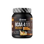 MaxxWin Extreme BCAA Powder 4:1:1 500 g – Hledejceny.cz