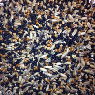 Avest Směs Kanár 13 20 kg – Zboží Dáma