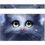 Norimpex Diamantové malování Šedé kotě 30 x 40 cm – Zboží Mobilmania