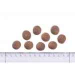 Brit Care Grain-free Adult Large Breed Salmon 12 kg – Zboží Dáma