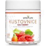OstroVit 17 Antioxidants 60 kapslí – Hledejceny.cz