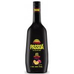 Passoã 17% 1 l (holá láhev) – Zboží Dáma