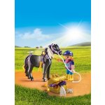 Playmobil 6970 Ozdobný Pony Hvězdička – Hledejceny.cz