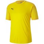 Puma Team Final 21 Training Jersey zelená – Sleviste.cz