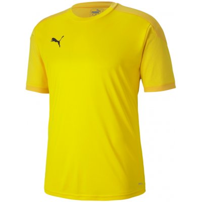 Puma Team Final 21 Training Jersey zelená – Sleviste.cz