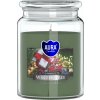 Svíčka Bispol Aura Winter Tree 500 g