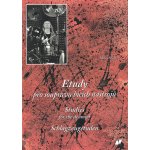 Etudy pro soupravu bicích nástrojů – Sleviste.cz