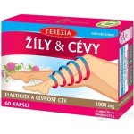 Terezia Žíly & Cévy 60 kapslí – Hledejceny.cz