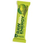 Bombus RAW energy 20x50 g – Zbozi.Blesk.cz