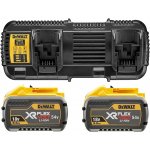 DeWALT DCB132X2 – Zboží Dáma
