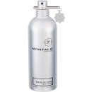 Montale Soleil de Capri parfémovaná voda unisex 100 ml