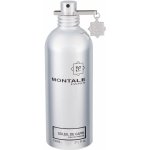 Montale Soleil de Capri parfémovaná voda unisex 100 ml – Hledejceny.cz