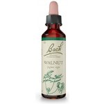 Dr. Bach Walnut Vlašský ořech 20 ml – Hledejceny.cz