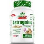 Amix GreenDay ProVegan Astragalus Extract 90 tablet – Hledejceny.cz