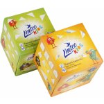 Linteo Kids papírové kapesníčky v krabičce 2-vrstvé 80 ks – Zboží Dáma