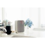 Bluesound Pulse Flex 2i – Zboží Živě