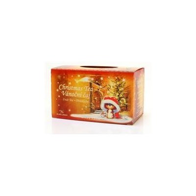 PANGEA Tea Vánoční ovocný čaj 20 x 2 g