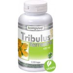 Kompava Tribulus Terrestris 120 kapslí – Sleviste.cz