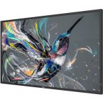 Philips 50BDL3511Q – Zboží Živě