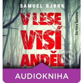 V lese visí anděl - Samuel Bjork