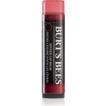 Burt´s Bees Tinted Lip Balm balzám na rty Red Dahlia 4,25 g – Zboží Mobilmania