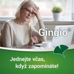 GINGIO POR 120MG TBL FLM 60 – Zboží Mobilmania