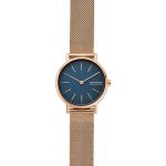 Skagen SKW2837 – Zbozi.Blesk.cz