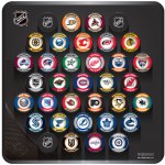InGlasCo NHL Wall Plaque Square – Zbozi.Blesk.cz