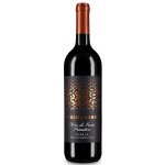 Casa Vinicola Botter Primadoro Nero di Troia Primitivo 2025 Červené suché 13,5% 0,75 l (holá láhev) – Hledejceny.cz