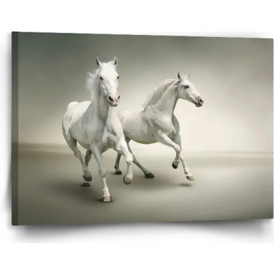 Sablio Obraz Dva bílí koně - 120x80 cm – Hledejceny.cz