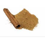 Les Fruits du Paradis Skořice mletá Bio 500 g – Zboží Dáma