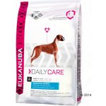 Eukanuba Daily Care Sensitive Joints 2 x 12,5 kg – Hledejceny.cz