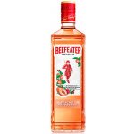 Beefeater Peach & Raspberry 37,5% 0,7 l (holá láhev) – Zbozi.Blesk.cz